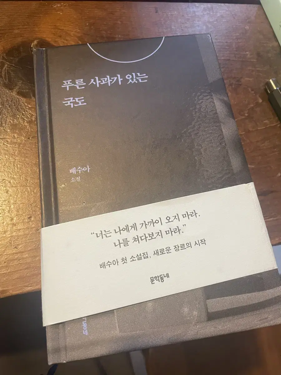 푸른 사과가 있는 국도 배수아 소설집 책 도서 판매